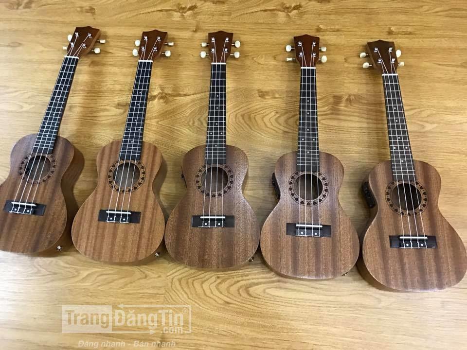 bán đàn ukulele tại biên hòa