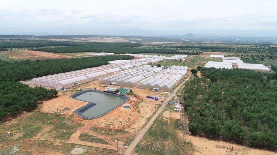 Tặng vàng mùa dịch khi mua đất vườn Bình Thuận. giá cực rẻ chỉ 650 triệu/10000m2, SHR