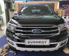 Ford Everest năm 2019 giao ngay
